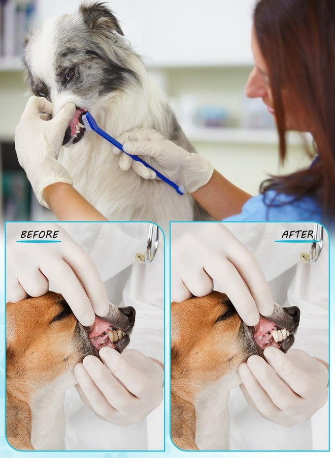 CRAZYBELLY 30 Pcs Pet Toothbrush Kit - Dual-Headed Toothbrush for Dogs & Cats - 10 Colors - Image 3